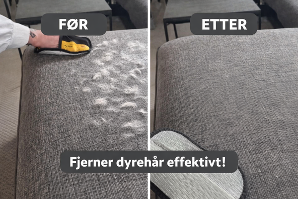 Hvordan fjerne hundehår effektivt hjemme — komplett guide