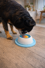 Hund bruker CalmBall slikkeleke fylt med yogurt