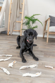 Hund ligger på tregulv og tygger på kaninører med pels