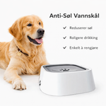 Golden retriever ved anti-søl vannskål med flytende plate som gir roligere drikking