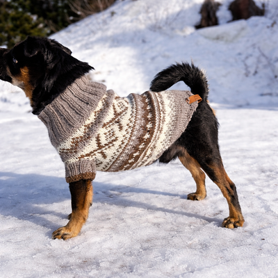 Håndstrikket ullgenser til hund i 100 % ull
