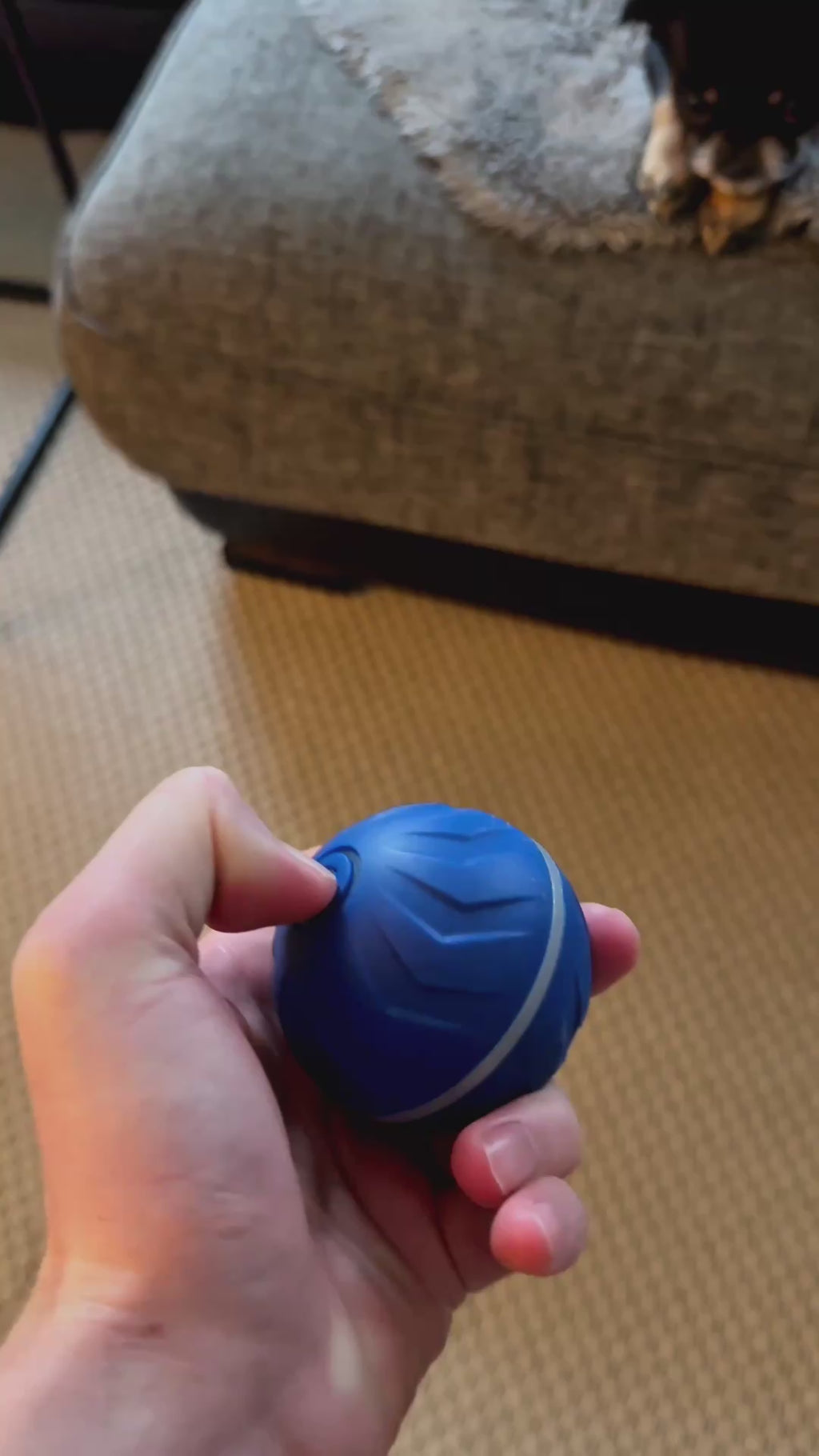 Smart interaktiv hundeball – PawSpin