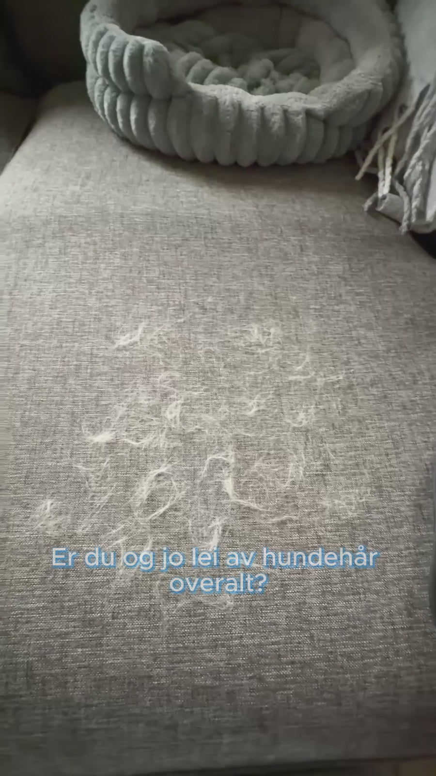 Pelsfjerner hanske – Fjern hundehår fra sofa, klær og bil
