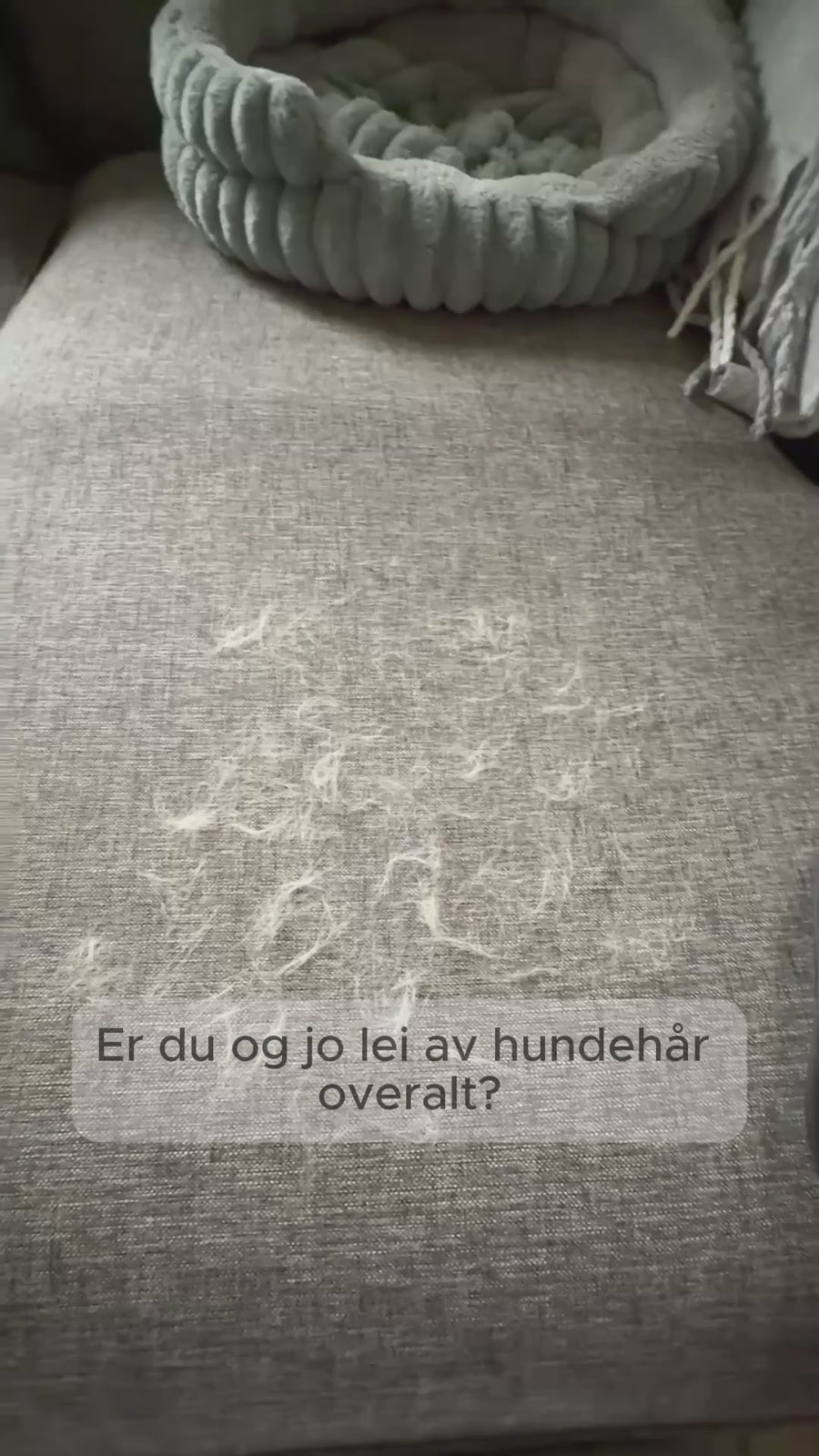 Pelsfjerner hanske – Fjern hundehår fra sofa, klær og bil