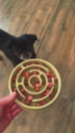 Hund spiser sakte fra aktiviseringsskål slow feeder