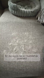 Pelsfjerner hanske – Fjern hundehår fra sofa, klær og bil